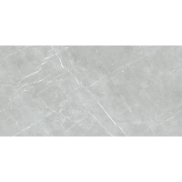 Marmolino Silver F P R Mat 60x120
