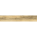 Canyon Gold F Pr R Mat 15x90 - керамограніт під дошку від Teo ceramics (ALLORE)