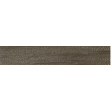 Fortezza Brown F Pr R Mat 19.8x120
