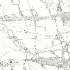Invisible White F P R Glossy 60x60