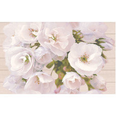 Carmel inserto flower 25x40