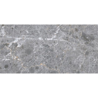 Castello light grey matt 29,8x59,8