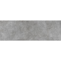 Denize dark grey 20x60