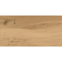 Gilberton beige 29,8x59,8