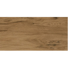 Gilberton brown 29,8x59,8