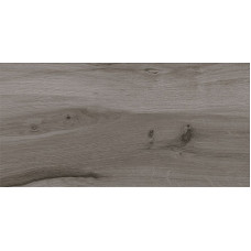 Gilberton grey 29,8x59,8