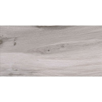 Gilberton light grey 29,8x59,8