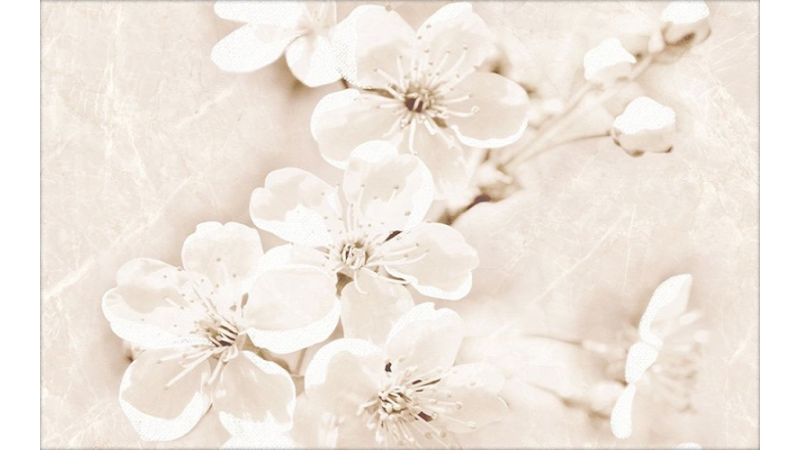 Sofi inserto flower 25x40 - керамічна плитка від Cersanit