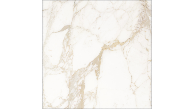 Saint Laurent белий 607x607 - керамограніт від TERRAGRES (Golden Tile)